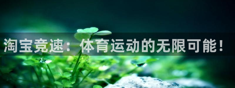 betway西汉姆官网：淘宝竞速：体育运动的无限可能！