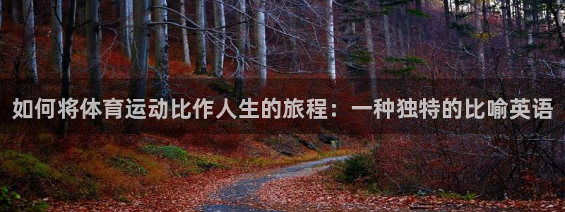 必威betway西汉姆联：如何将体育运动比作人生的旅程：一种独特的比喻英语