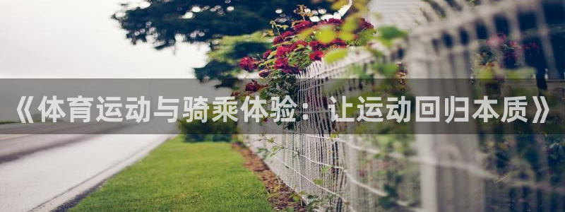 必威betway西汉姆联：《体育运动与骑乘体验：让运动回归本质》