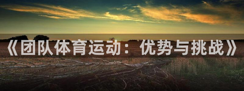 betway西汉姆联官网：《团队体育运动：优势与挑战》