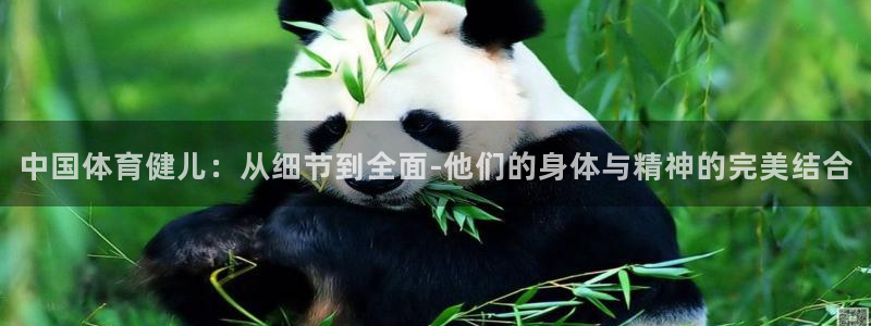 必威betway西汉姆联：中国体育健儿：从细节到全面-他们的身体与精神的完美结合