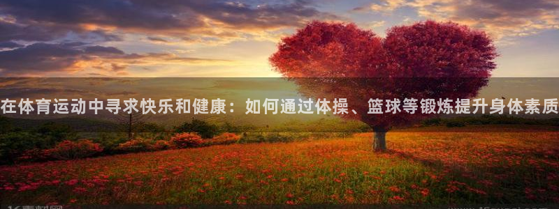 betway西汉姆：在体育运动中寻求快乐和健康：如何通过体操、篮球等锻炼提升身体素质
