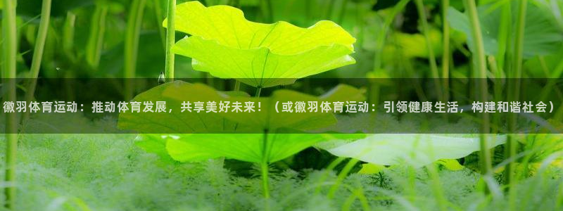 betway西汉姆联官网：徽羽体育运动：推动体育发展，共享美好未来！（或徽羽体育运动：引领健康生活，构建和谐社会）