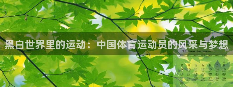 betway西汉姆联：黑白世界里的运动：中国体育运动员的风采与梦想